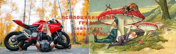 соль ск Михайловск