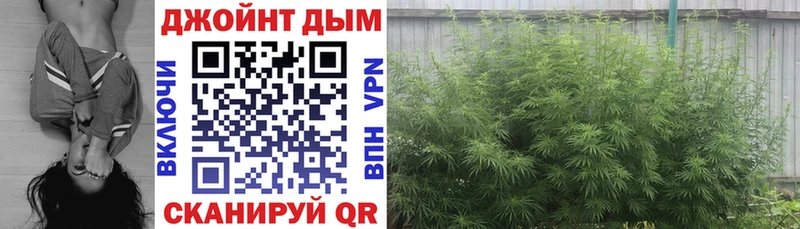 Конопля SATIVA & INDICA  закладка  Афипский 